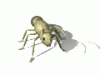 Animations - 391